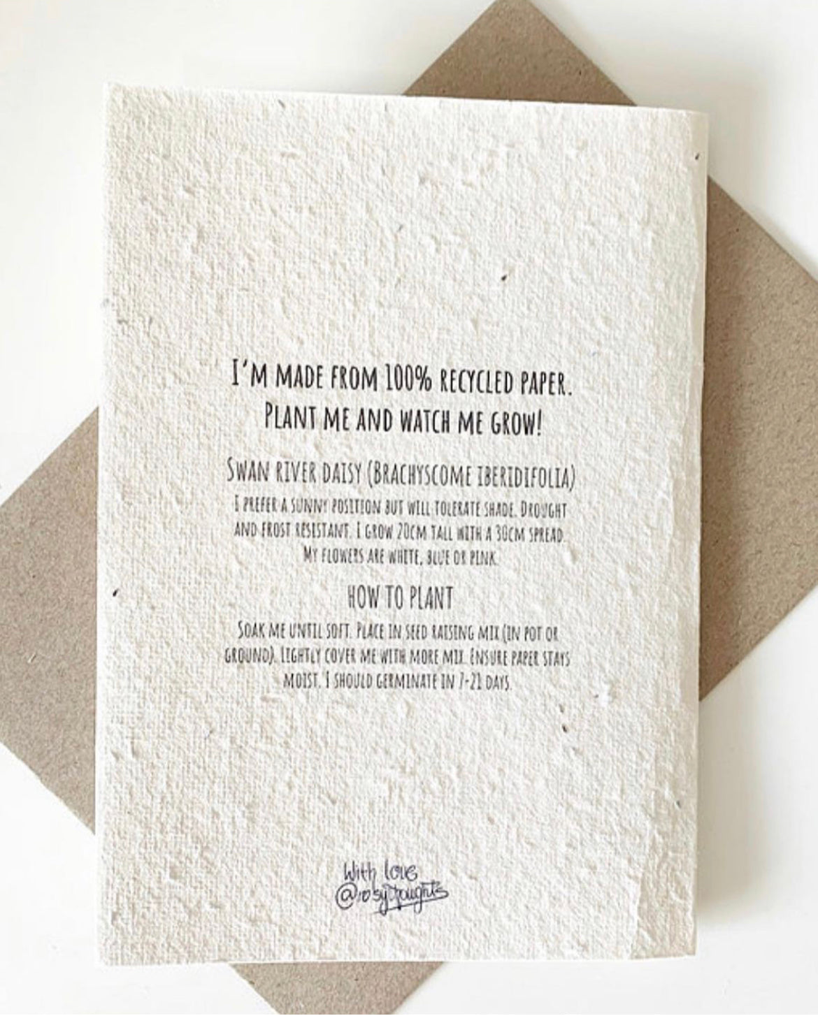 You're the Bee's Knees Seed Card