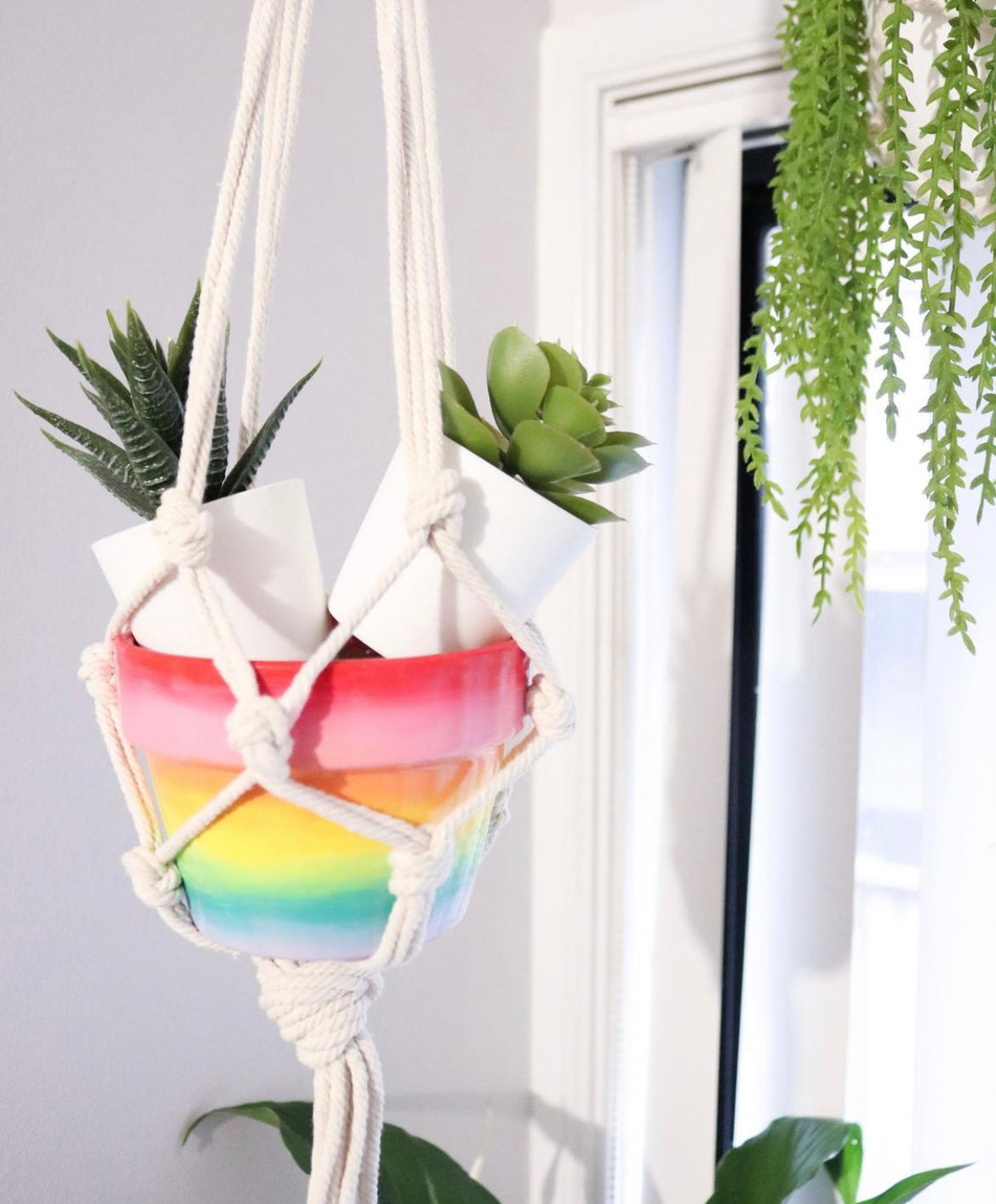 Rainbow Pot